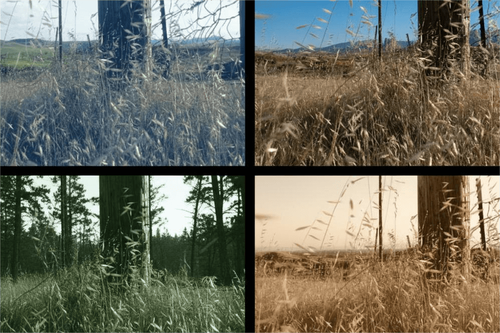 an image of coloring in film